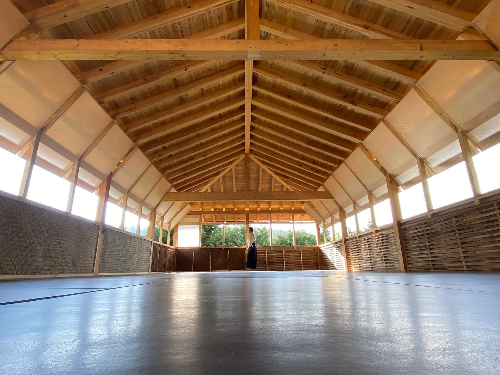 Tatami de El Dojo con estructura de madera y luz natural